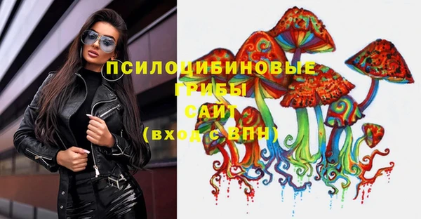 метамфетамин Белокуриха