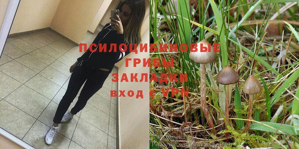метамфетамин Белокуриха