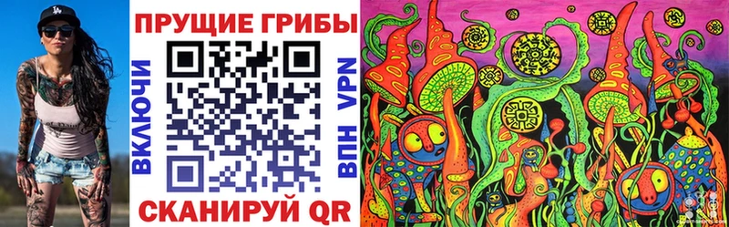 Галлюциногенные грибы Psilocybe  Невель 